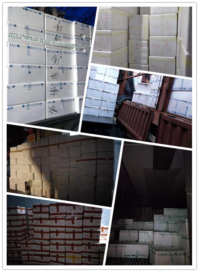 首页-PA集团有限公司官网入口