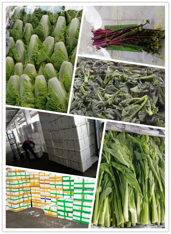 首页-PA集团有限公司官网入口