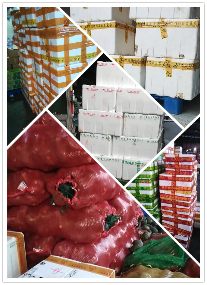 首页-PA集团有限公司官网入口