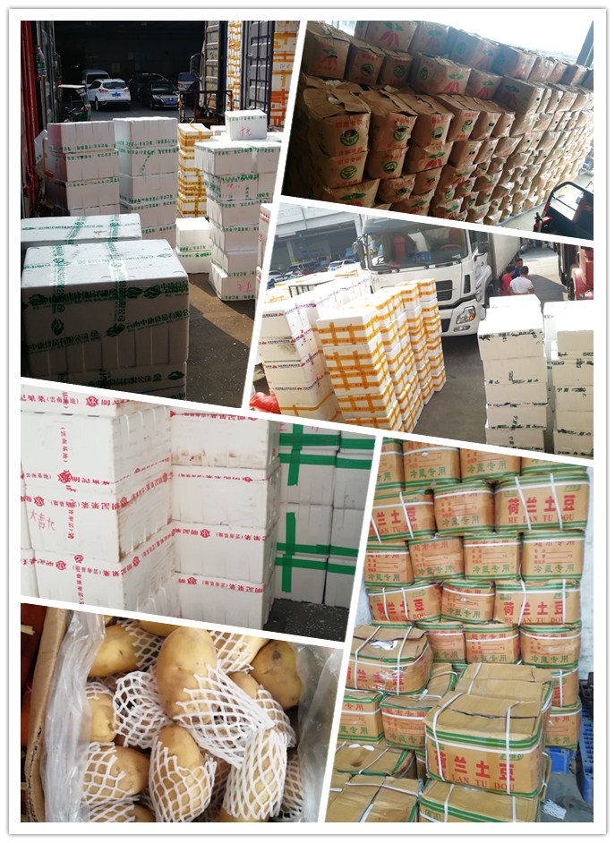 首页-PA集团有限公司官网入口