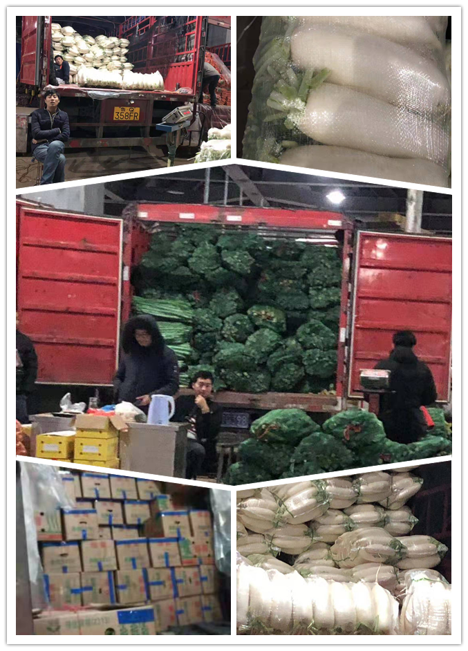 首页-PA集团有限公司官网入口