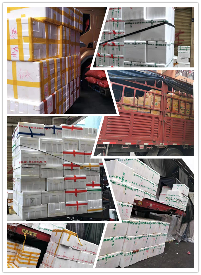 首页-PA集团有限公司官网入口