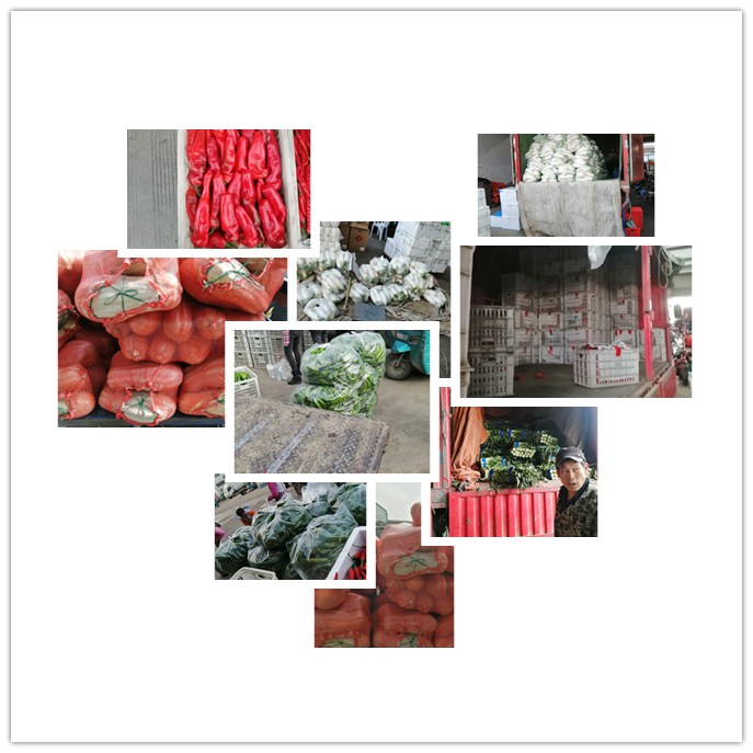 首页-PA集团有限公司官网入口