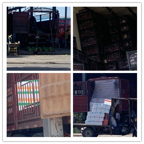 首页-PA集团有限公司官网入口