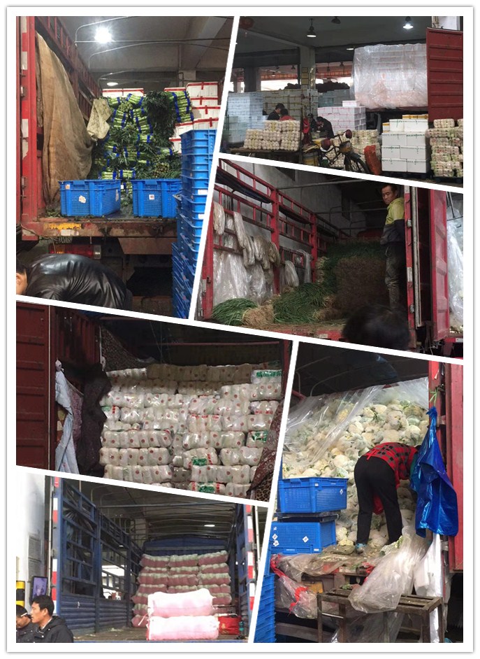 首页-PA集团有限公司官网入口