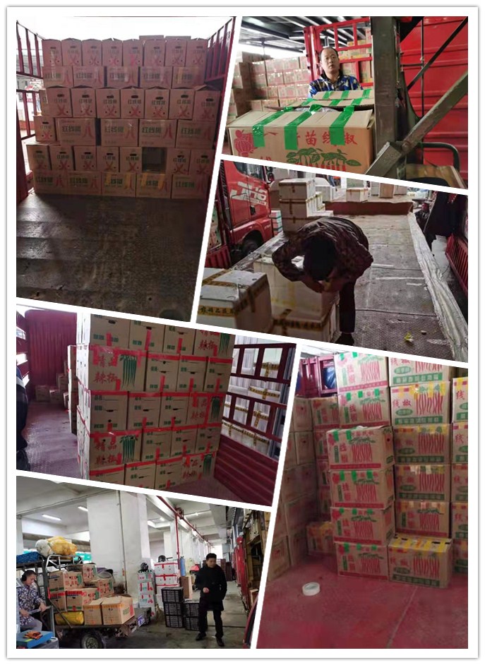 首页-PA集团有限公司官网入口