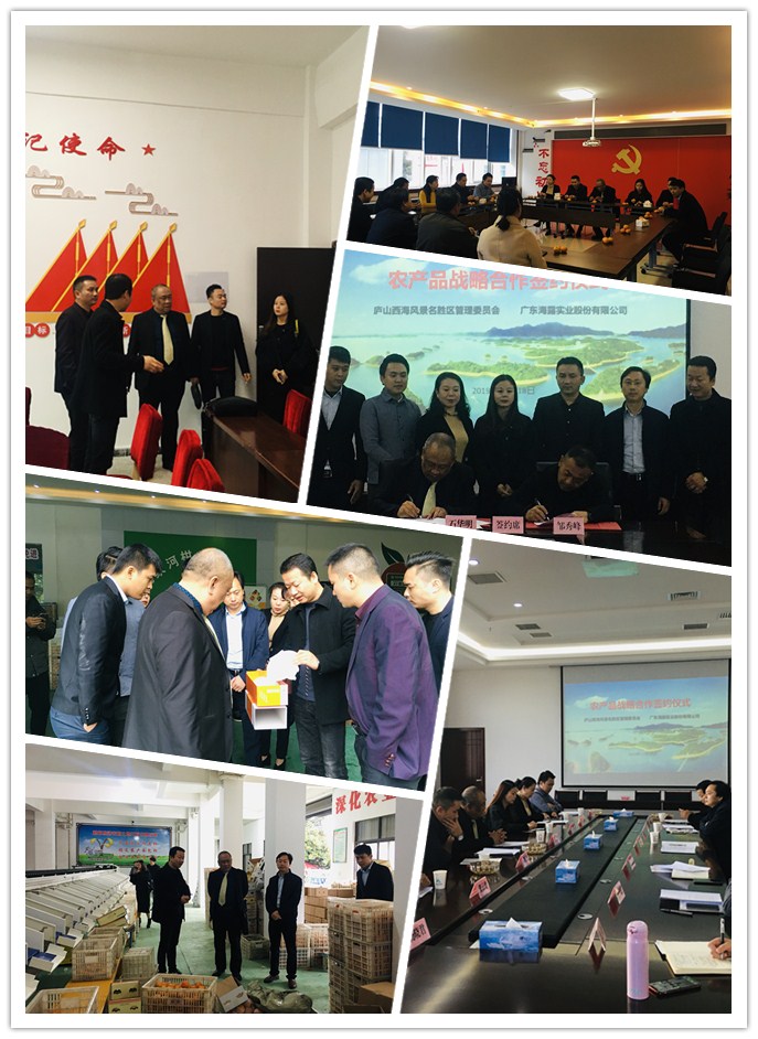 首页-PA集团有限公司官网入口