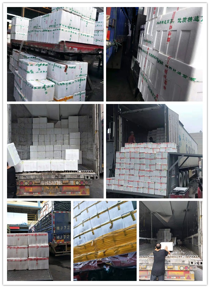 首页-PA集团有限公司官网入口