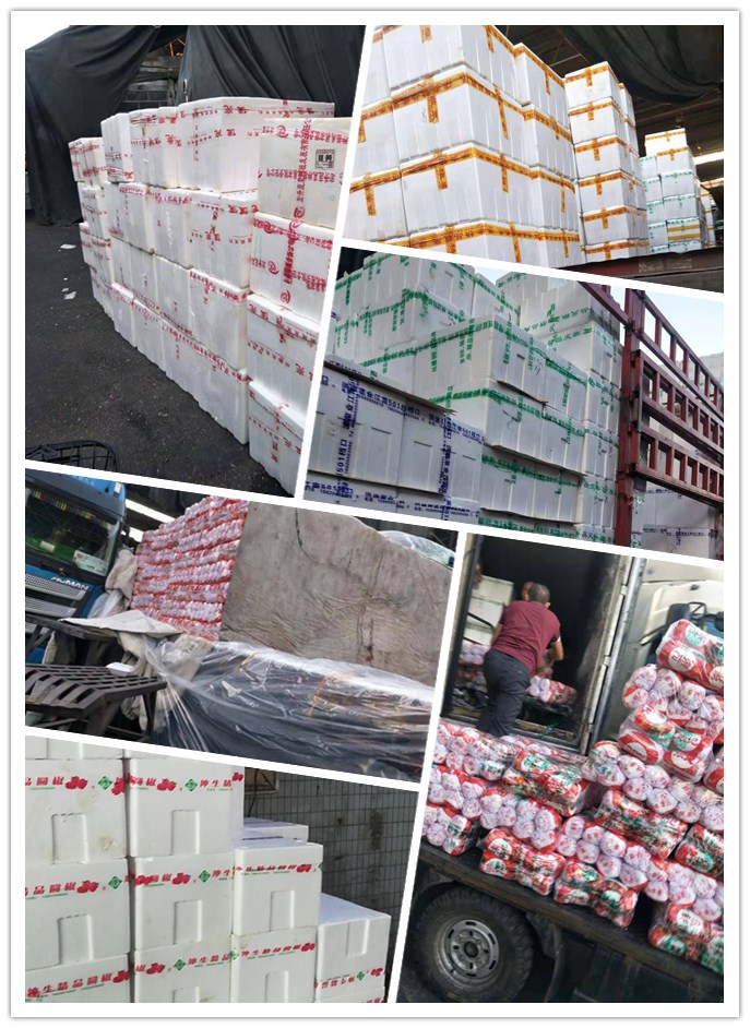 首页-PA集团有限公司官网入口