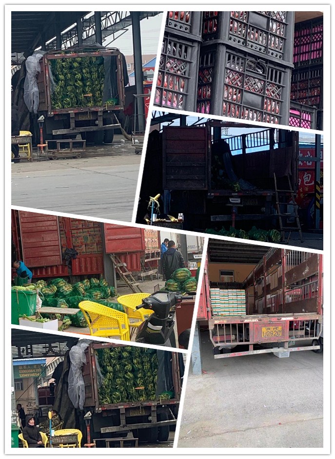 首页-PA集团有限公司官网入口