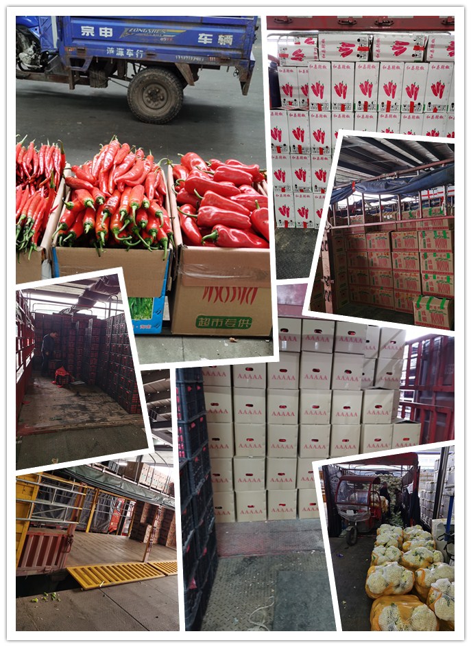 首页-PA集团有限公司官网入口