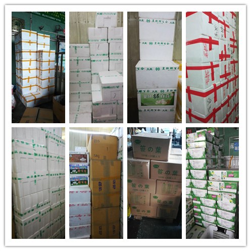 首页-PA集团有限公司官网入口