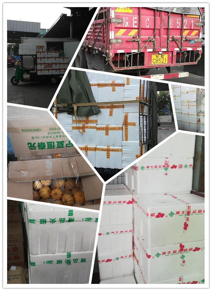 首页-PA集团有限公司官网入口