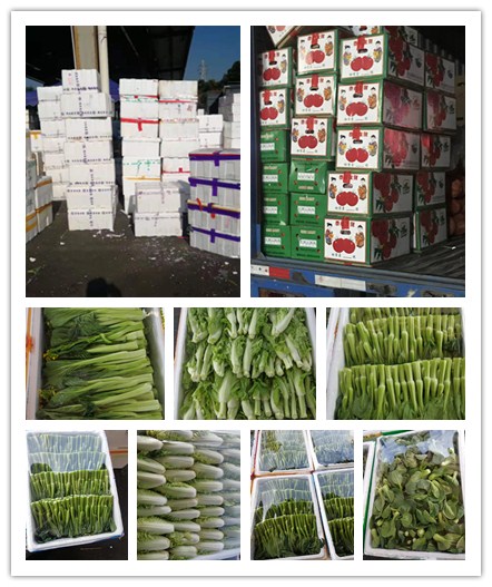 首页-PA集团有限公司官网入口