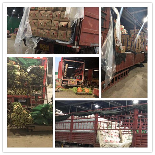 首页-PA集团有限公司官网入口