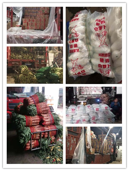 首页-PA集团有限公司官网入口