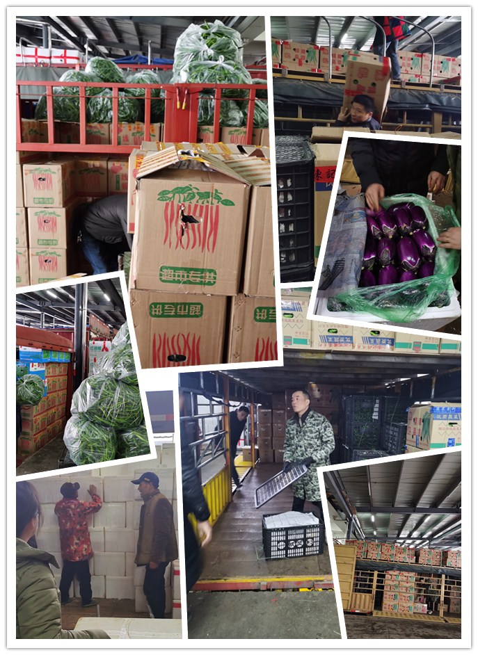 首页-PA集团有限公司官网入口