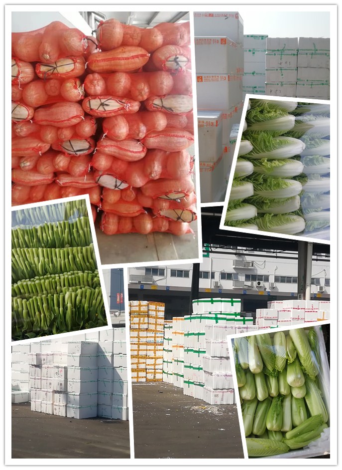 首页-PA集团有限公司官网入口