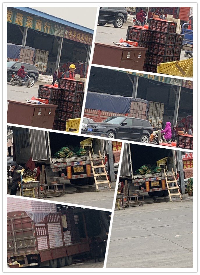 首页-PA集团有限公司官网入口