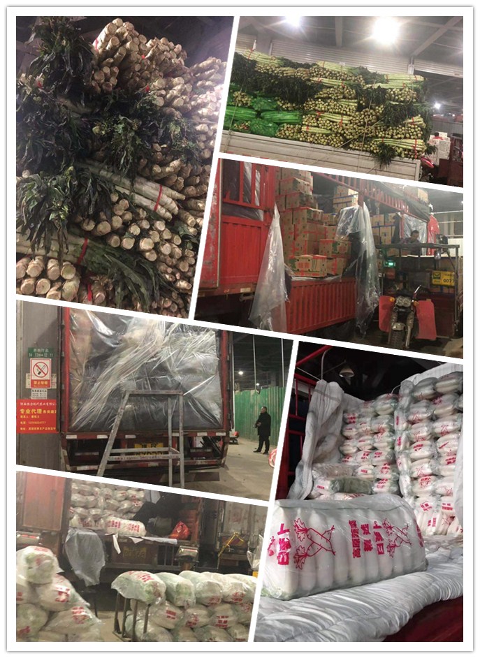 首页-PA集团有限公司官网入口