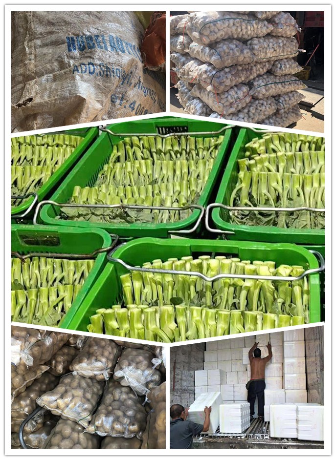 首页-PA集团有限公司官网入口