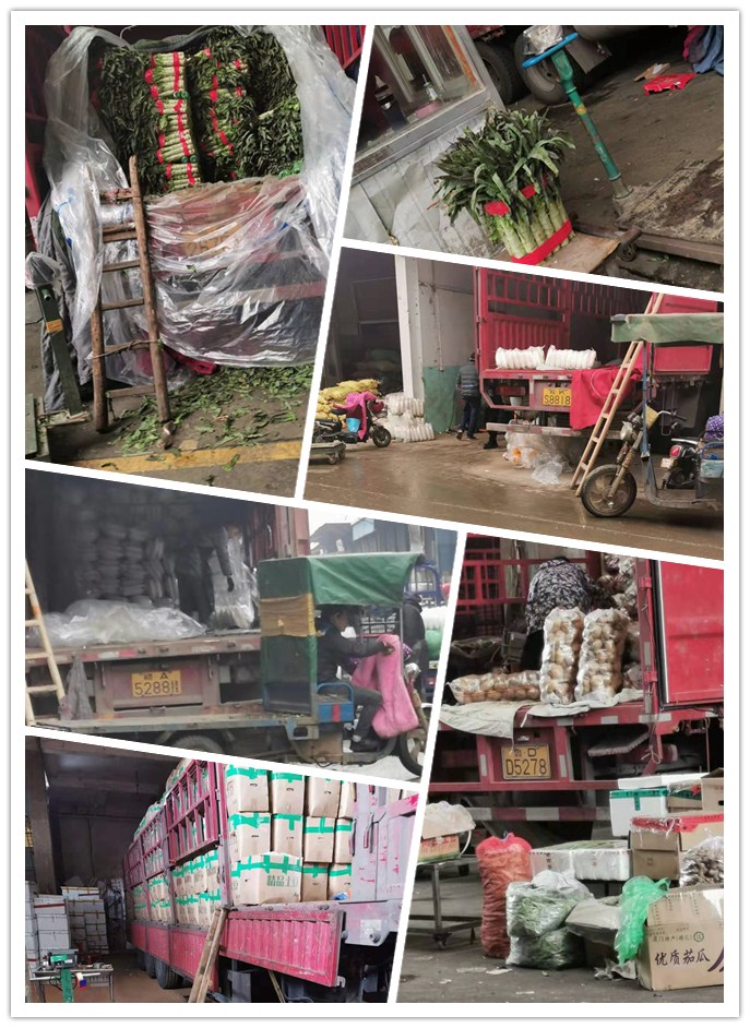 首页-PA集团有限公司官网入口