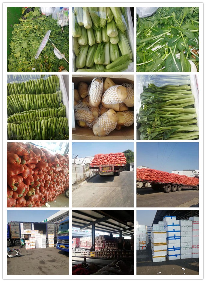 首页-PA集团有限公司官网入口