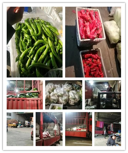 首页-PA集团有限公司官网入口