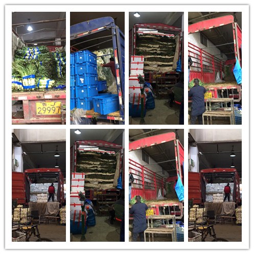 首页-PA集团有限公司官网入口