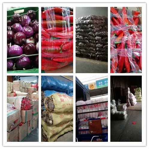 首页-PA集团有限公司官网入口