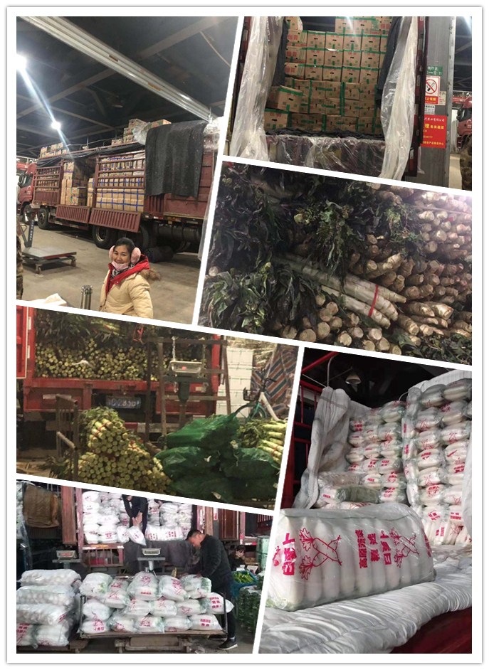 首页-PA集团有限公司官网入口