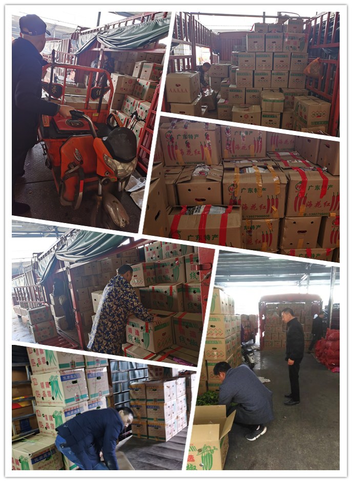 首页-PA集团有限公司官网入口