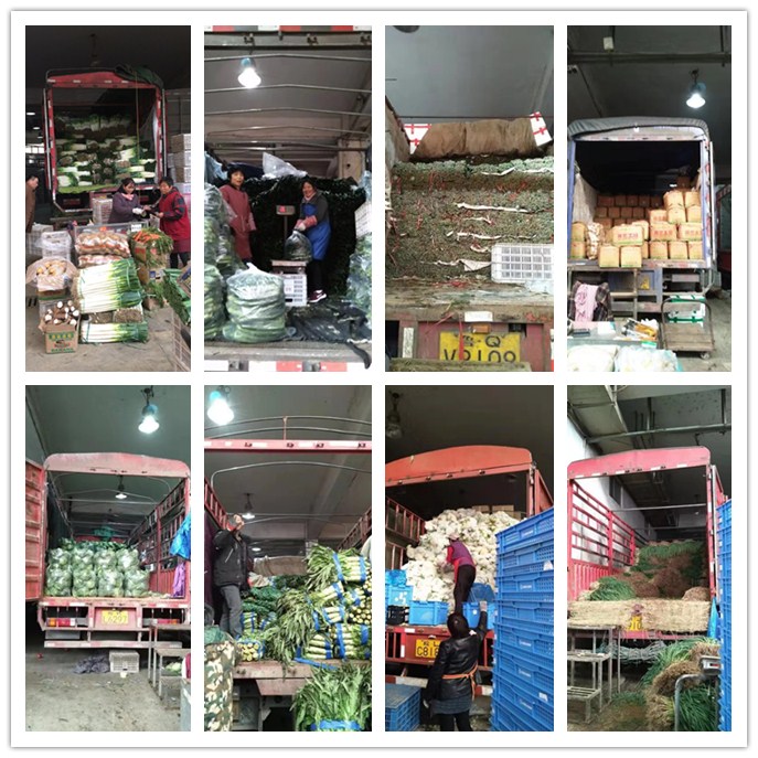 首页-PA集团有限公司官网入口