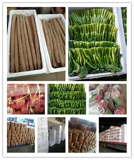 首页-PA集团有限公司官网入口