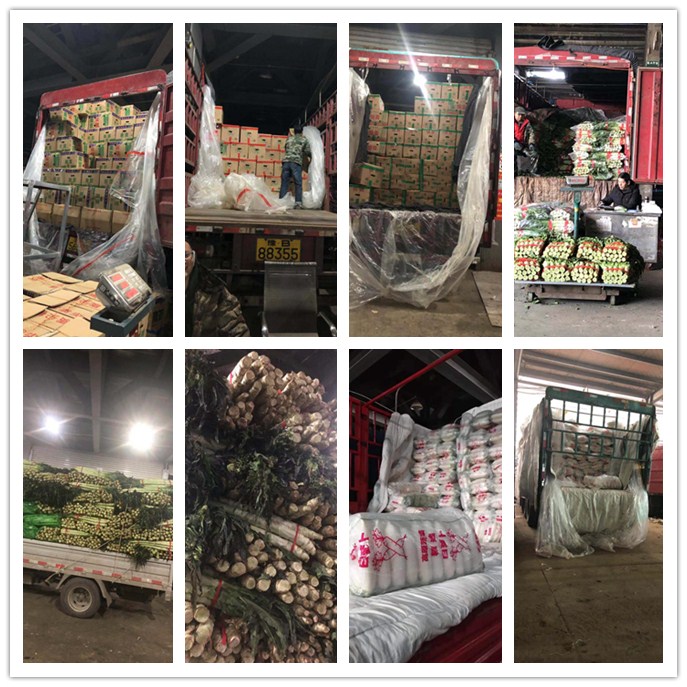 首页-PA集团有限公司官网入口