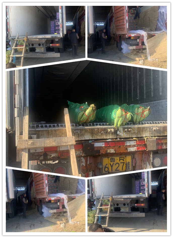 首页-PA集团有限公司官网入口