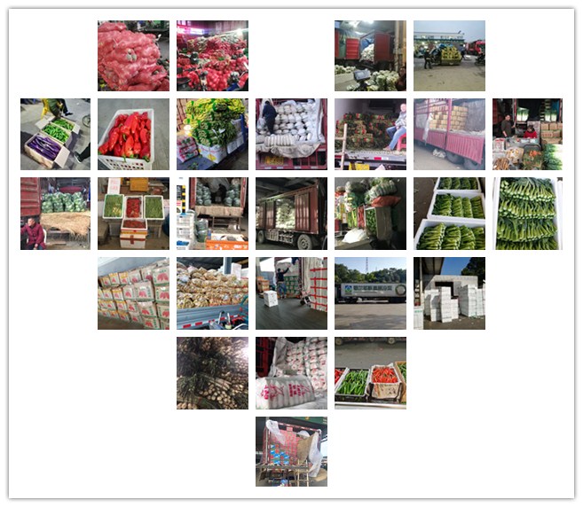 首页-PA集团有限公司官网入口