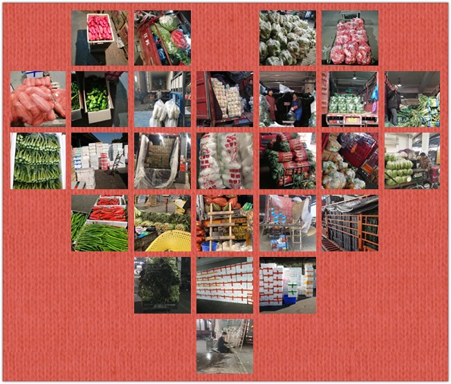 首页-PA集团有限公司官网入口