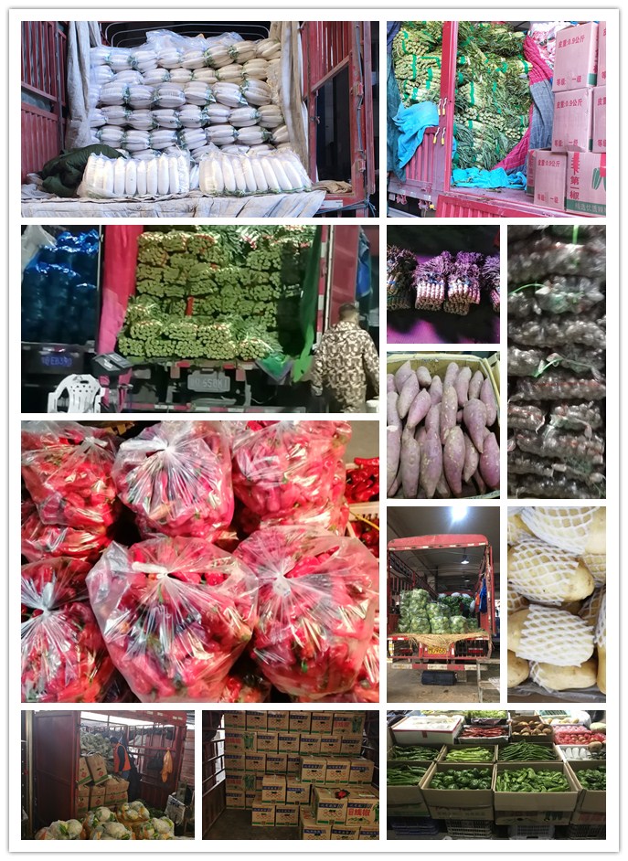 首页-PA集团有限公司官网入口