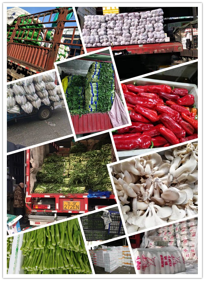 首页-PA集团有限公司官网入口