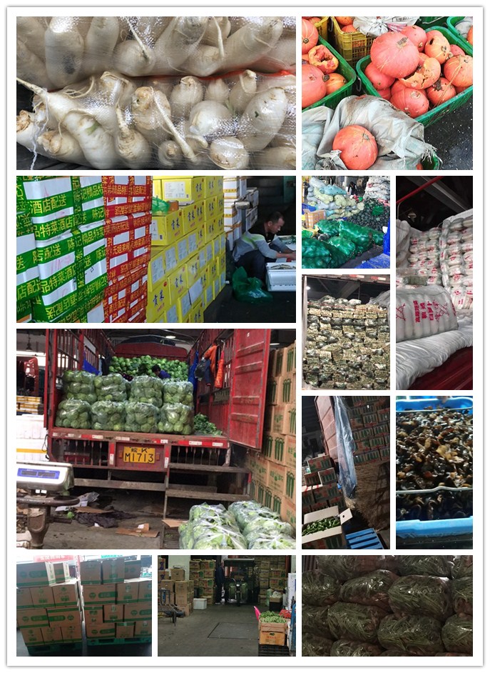 首页-PA集团有限公司官网入口