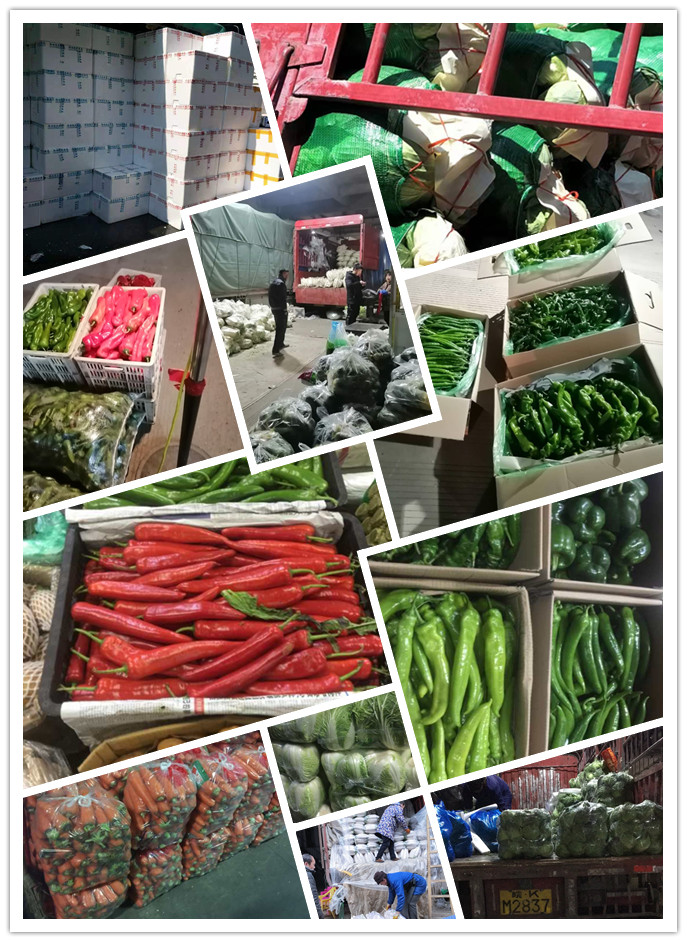 首页-PA集团有限公司官网入口