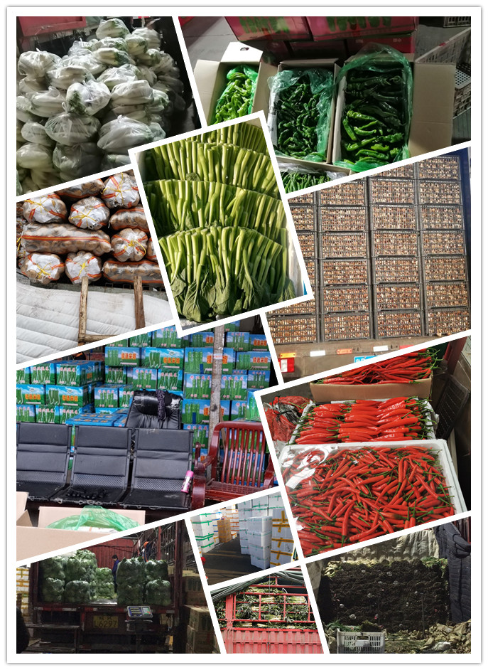 首页-PA集团有限公司官网入口