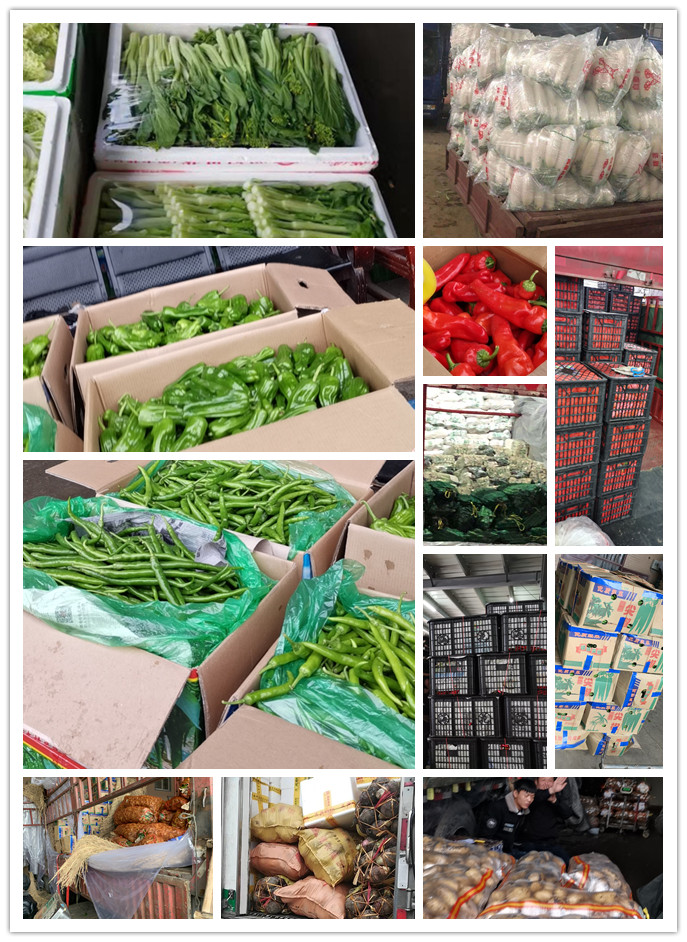 首页-PA集团有限公司官网入口