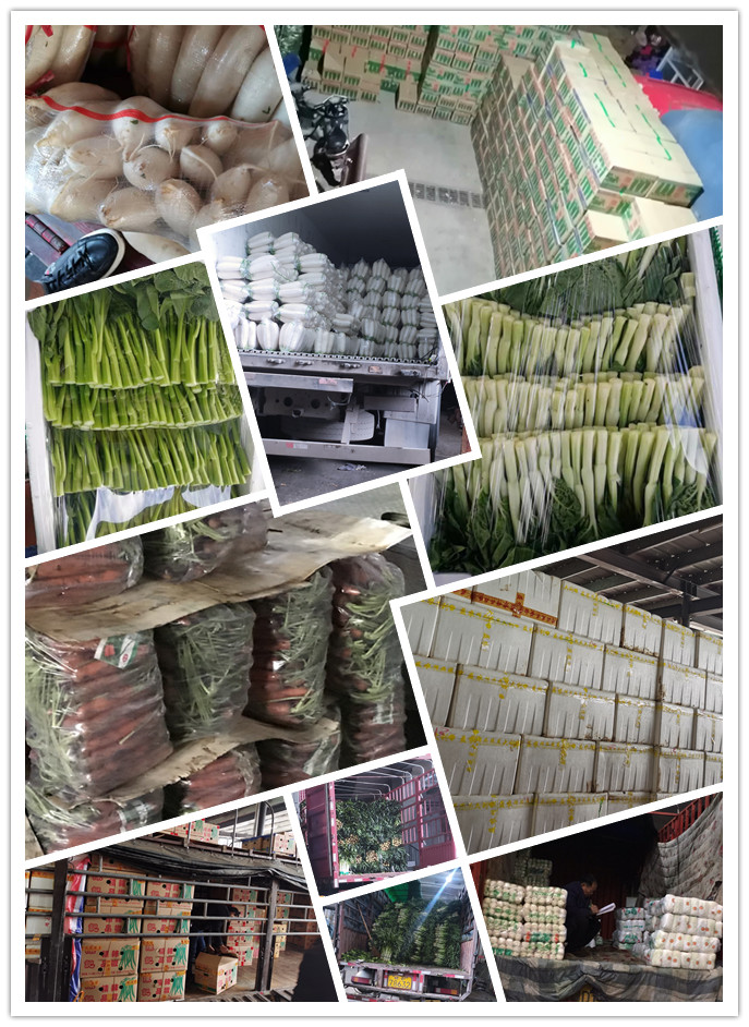 首页-PA集团有限公司官网入口