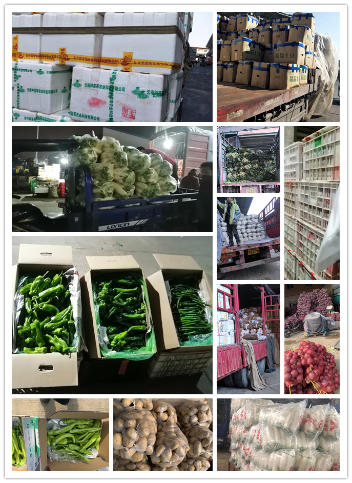 首页-PA集团有限公司官网入口