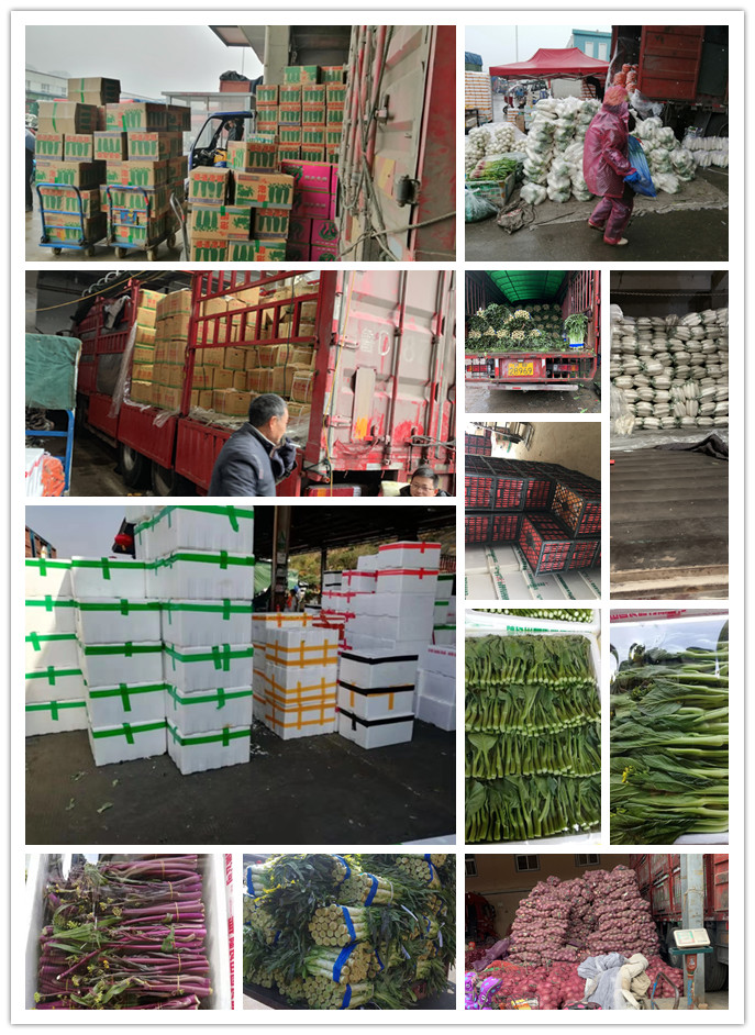 首页-PA集团有限公司官网入口