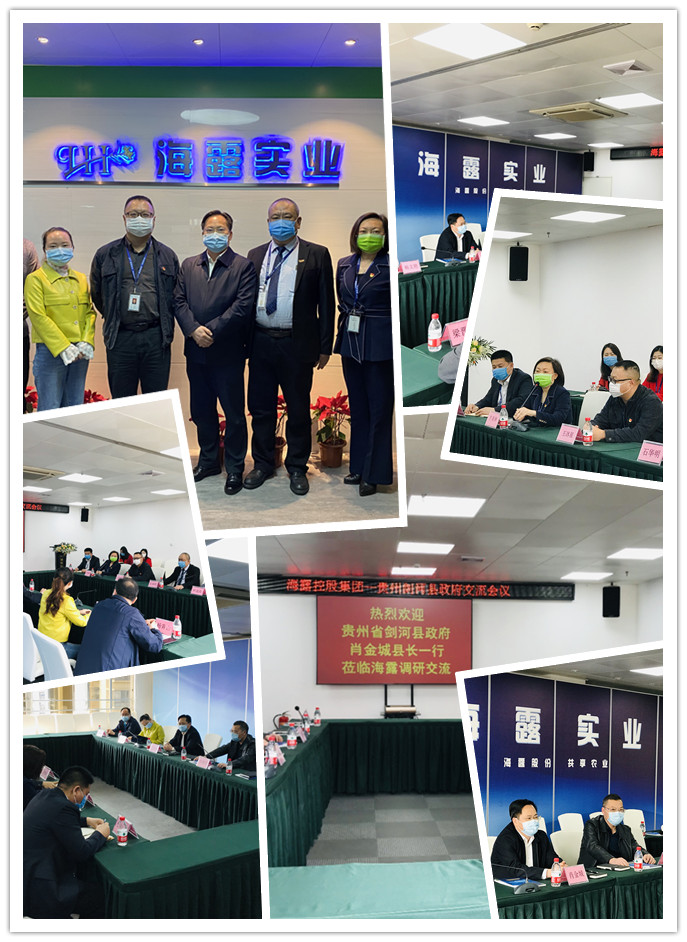 首页-PA集团有限公司官网入口