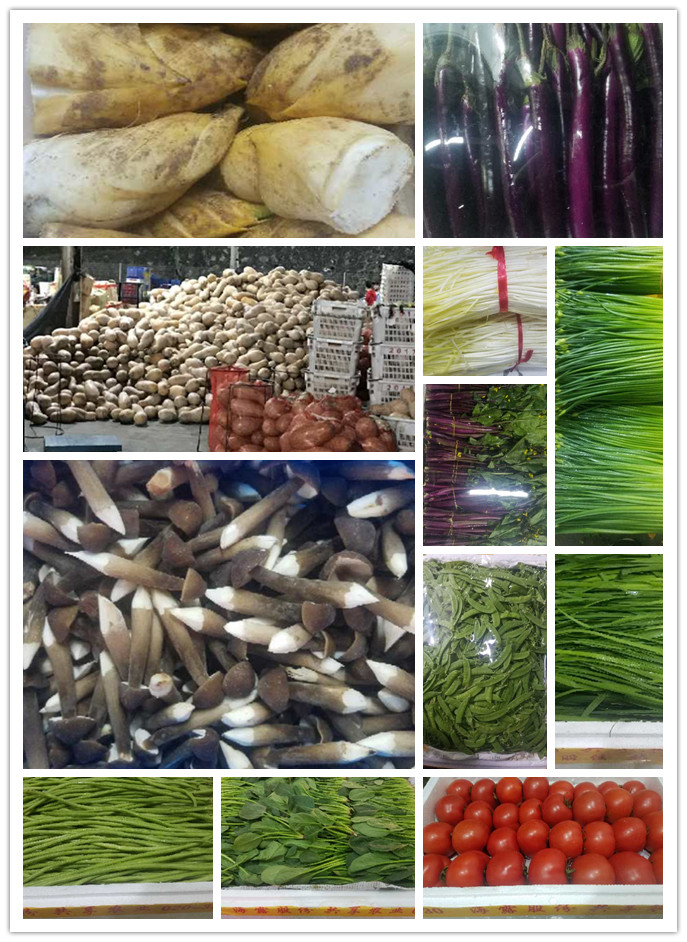 首页-PA集团有限公司官网入口