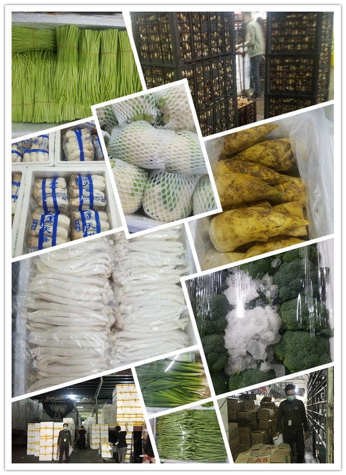 首页-PA集团有限公司官网入口